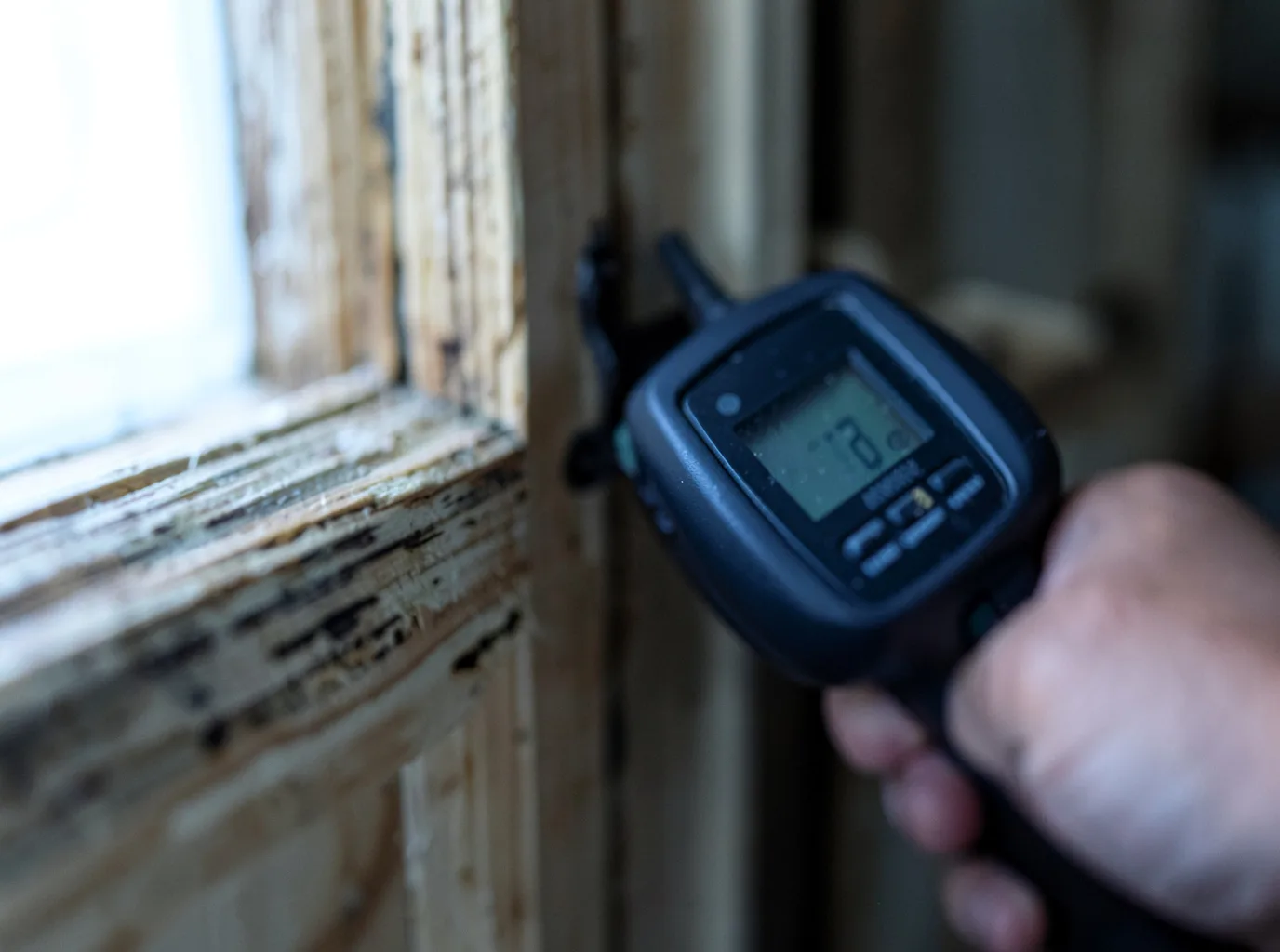 Moisture Inspection And Documentation in Friendswood, TX